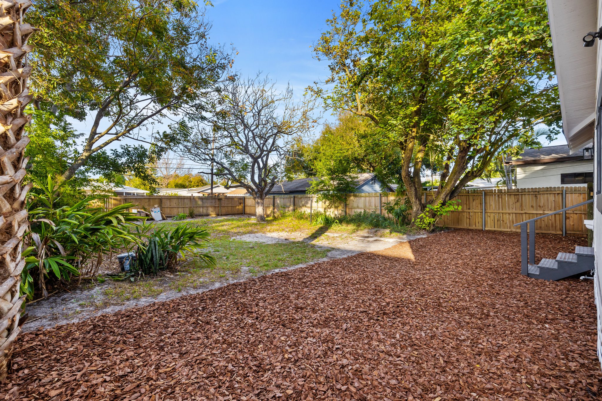 Backyard