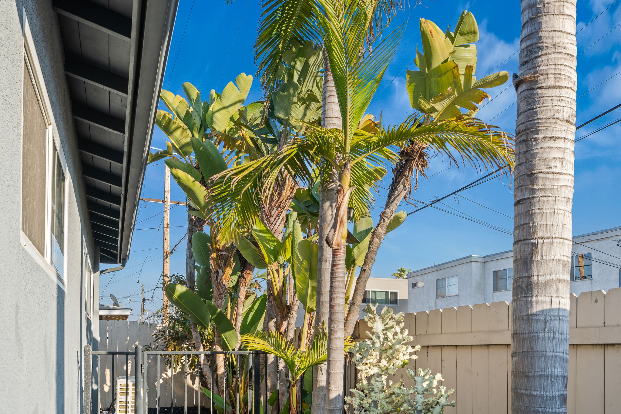 1733 Hornblend St-45