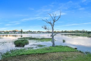 1733 Leichester Ct, Lutz, FL 33549, USA Photo 50