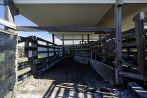  Photo 49