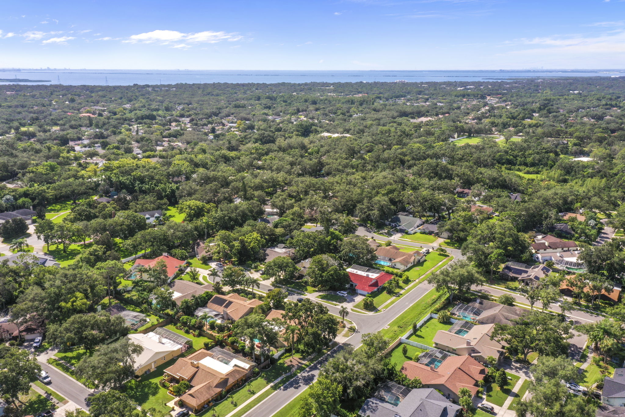 DRONE 1734 Pine Creek Ct 082