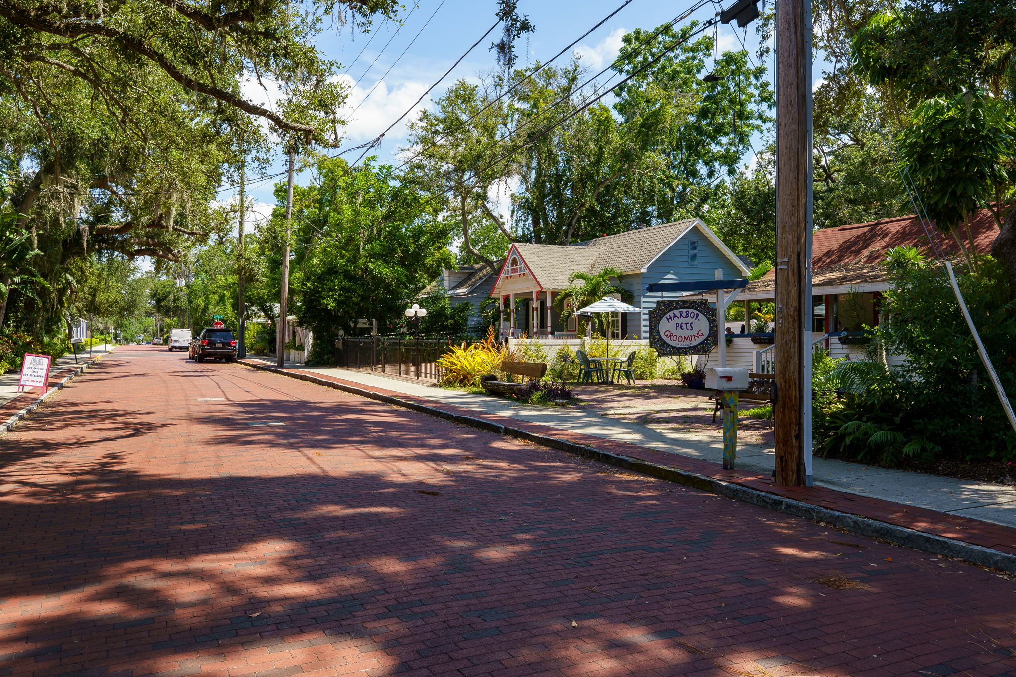 Community SH - DSC00750