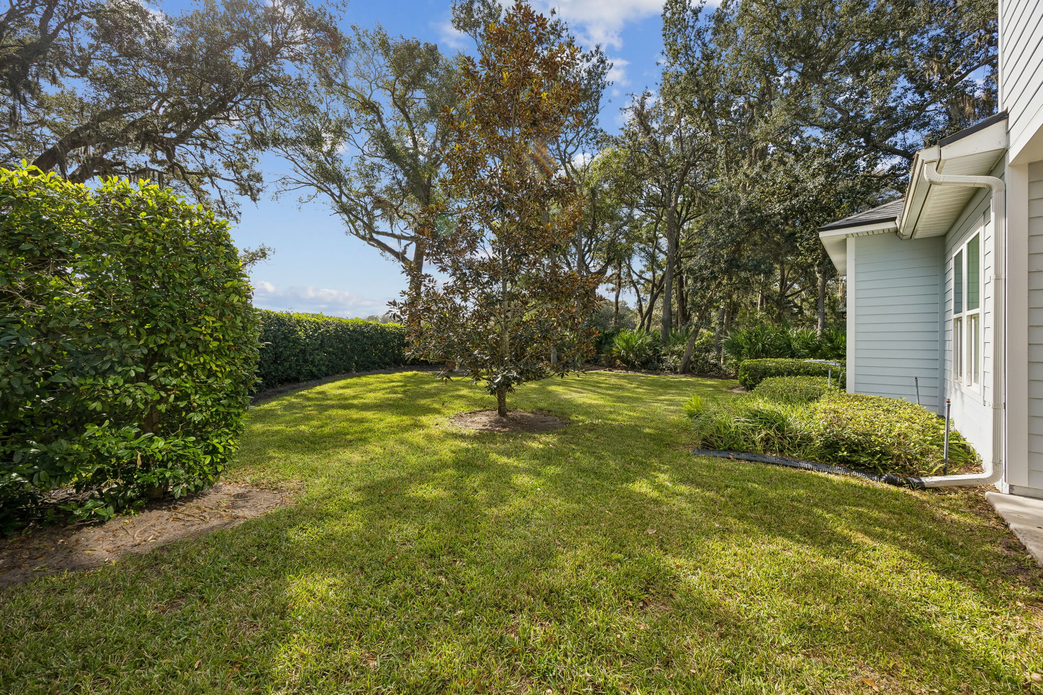 Backyard