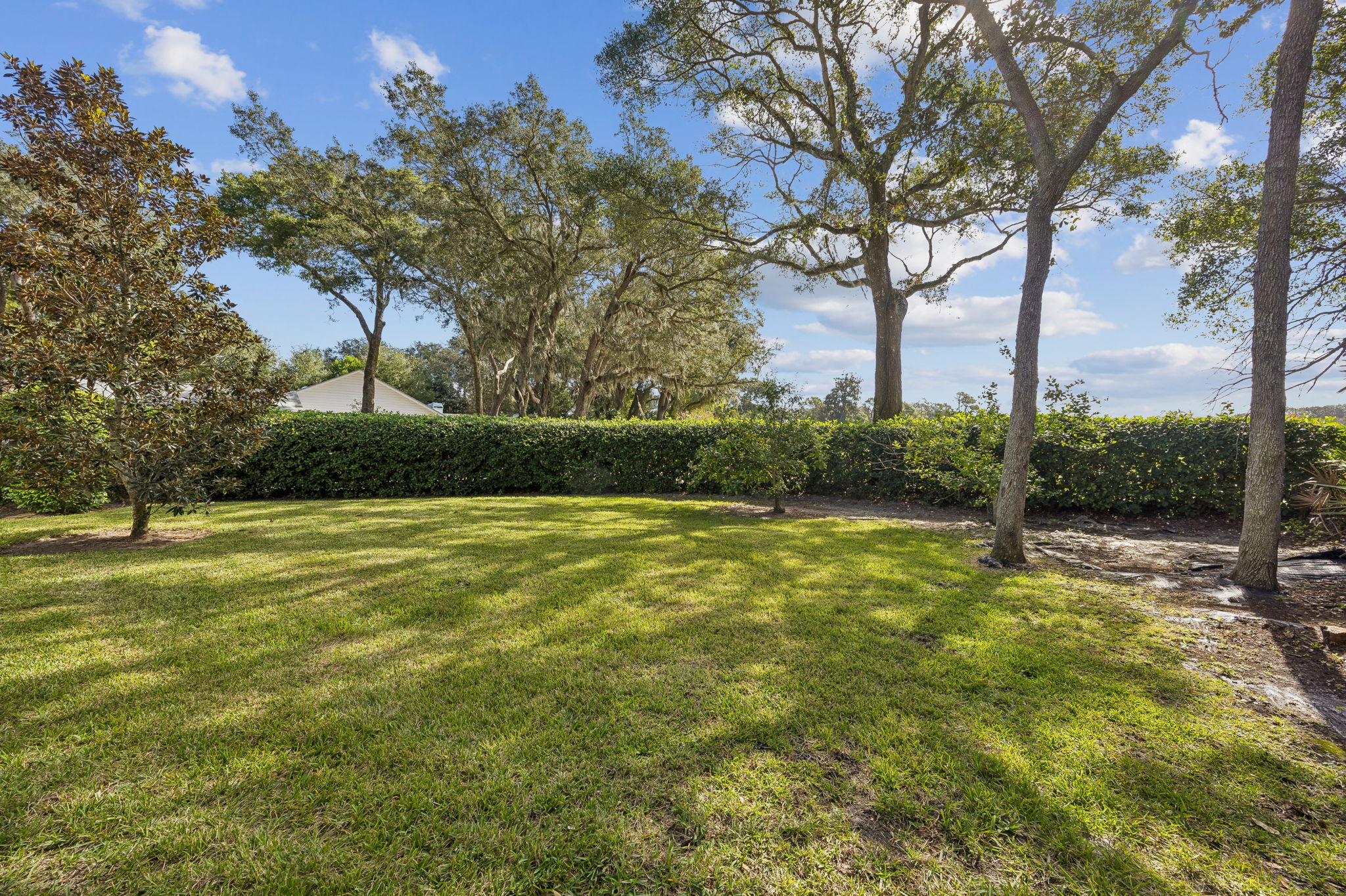 Backyard