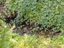  Photo 54