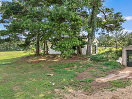  Photo 34