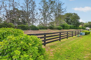 Rear Privacy Landscaping - NO REAR NEIGHBORS!