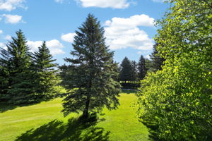  Photo 37