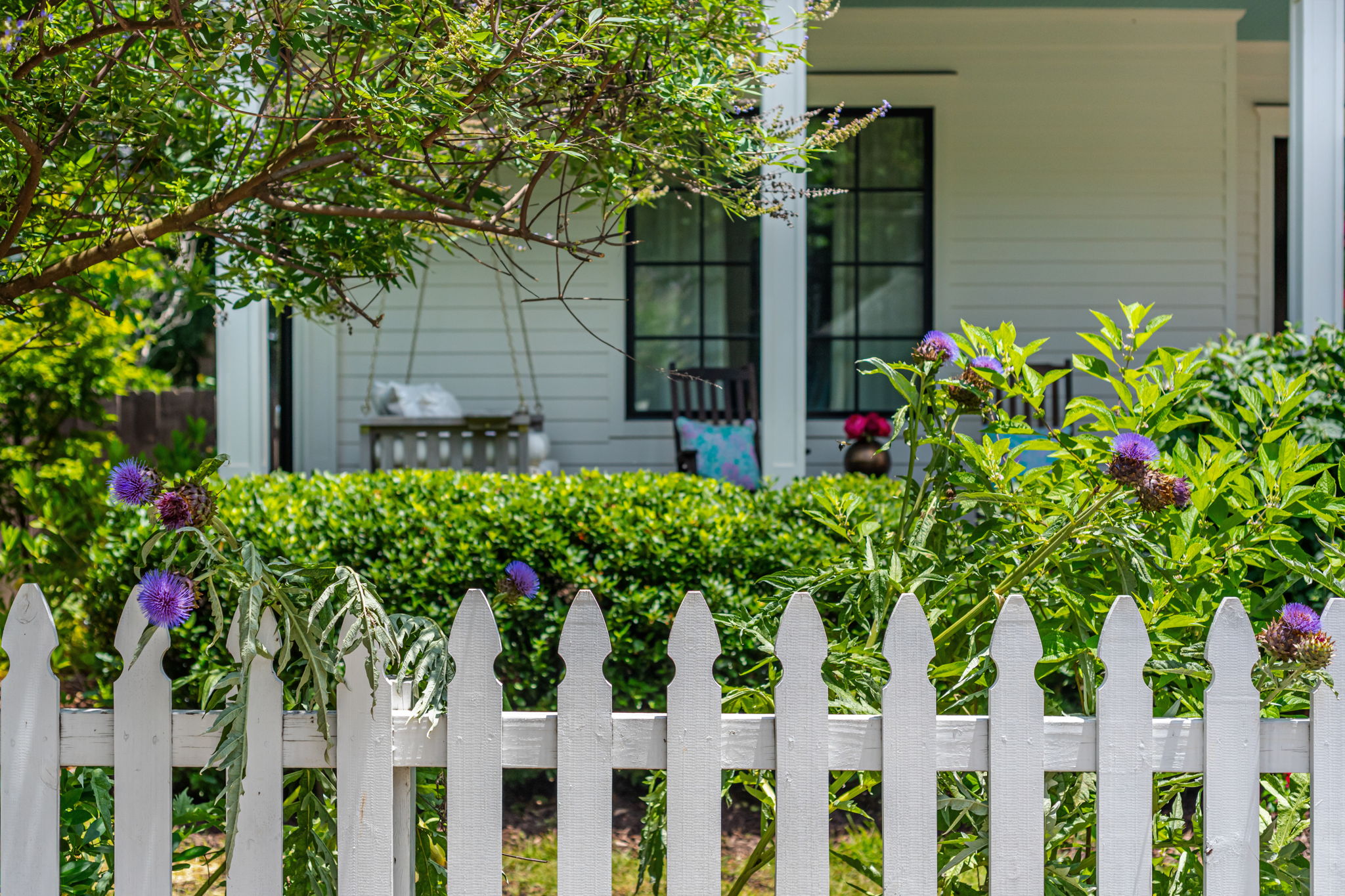 Lush Landscaping Throughout