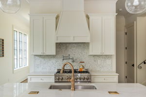 Custom Fixtures Including Pot Filler