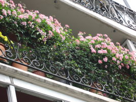 Curlicue wrought iron railings on balcony..