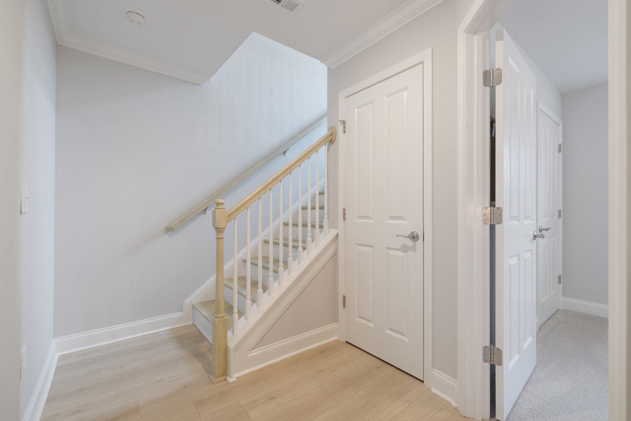 Stairs leading to the basement level. The door you see is extra storage and is positioned across from the garage entrance - a coat closet, additional bedroom closet space, rec room storage - you decide!