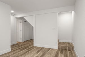 Basement Den 3