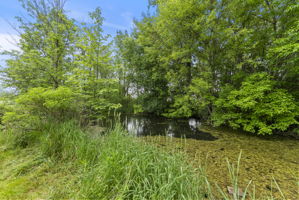  Photo 35