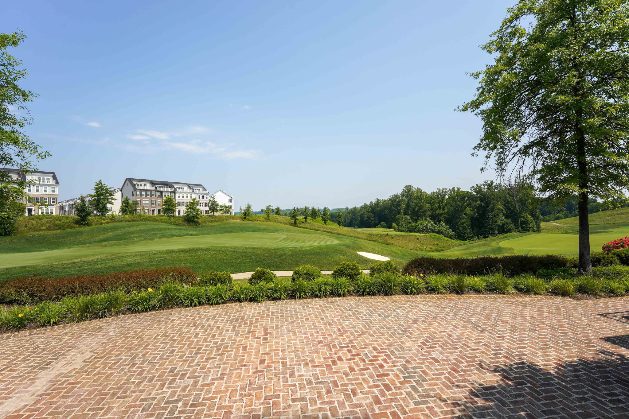 The rear of the golf club