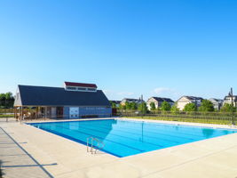 The Woods District Pool