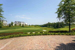 The rear of the golf club