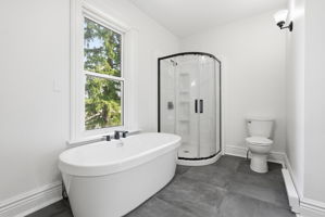  Photo 50