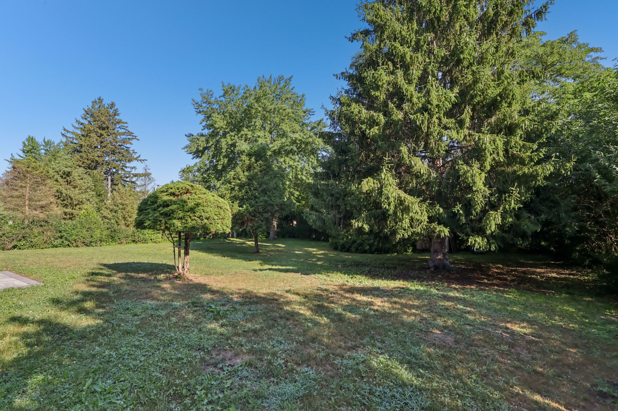 Walnut Cir-S1408-043