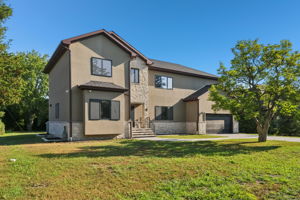 Walnut Cir-S1408-001
