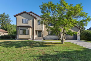 Walnut Cir-S1408-002