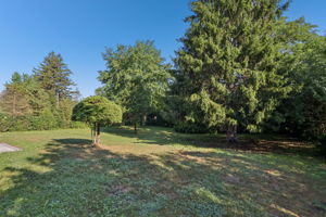Walnut Cir-S1408-043