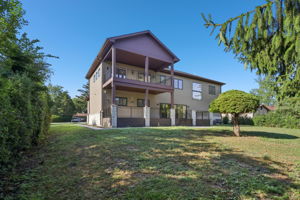 Walnut Cir-S1408-044