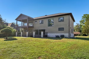 Walnut Cir-S1408-046