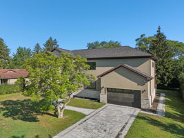 Walnut Cir-S1408-051