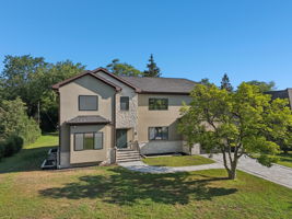 Walnut Cir-S1408-052