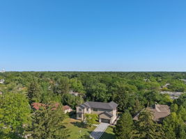 Walnut Cir-S1408-053