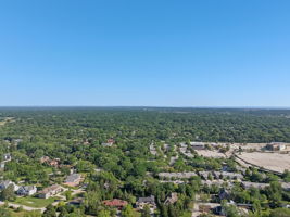 Walnut Cir-S1408-055