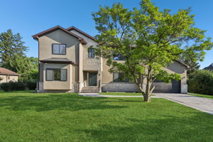 Walnut Cir-S1408-061