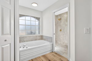 Primary Bathroom 2
