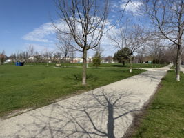  Photo 32