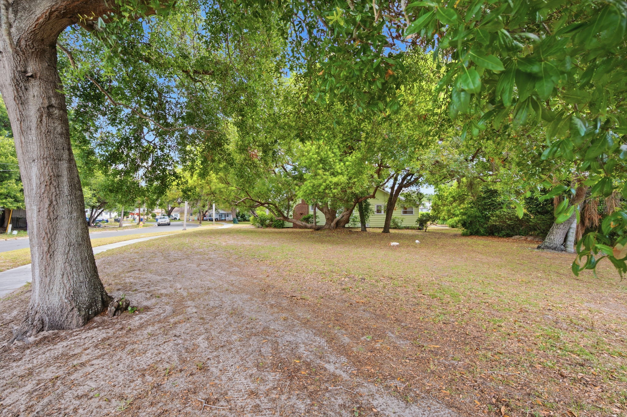 Front Yard (1)