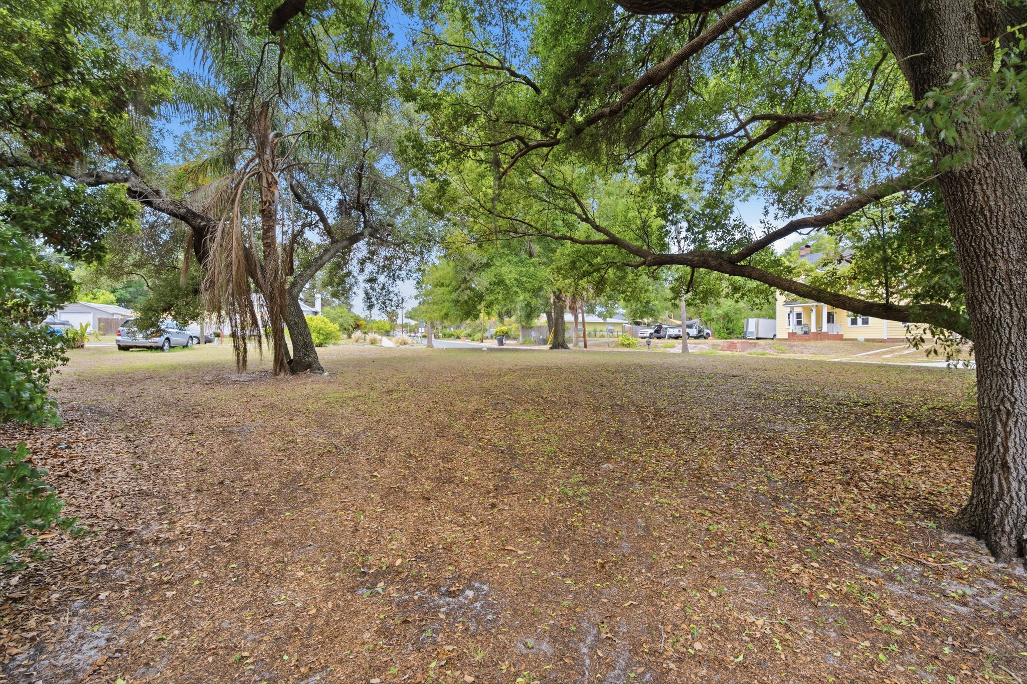 Front Yard (4)