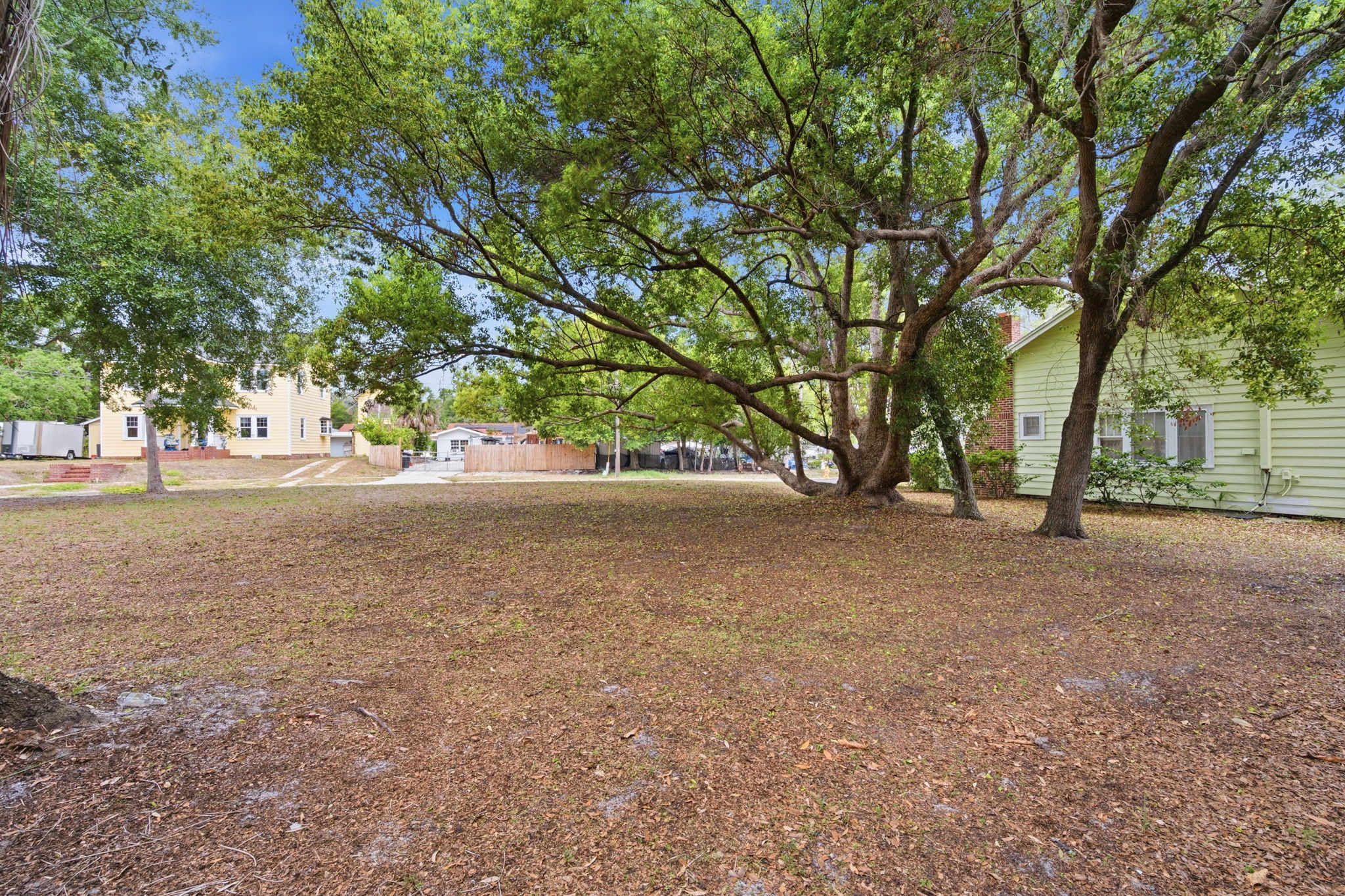 Front Yard (6)