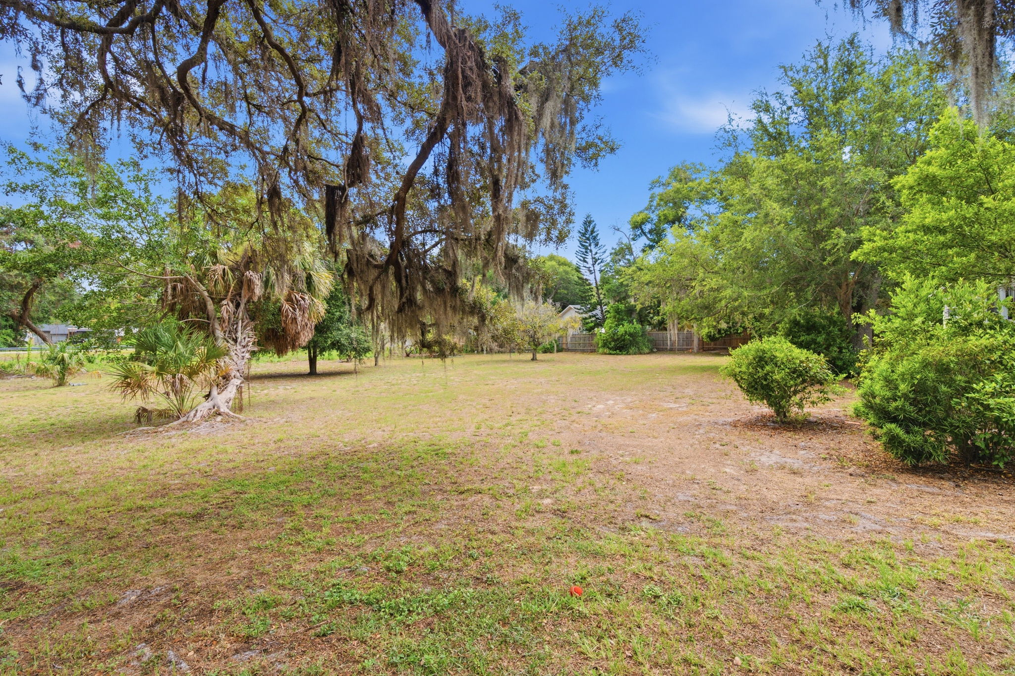Front Yard (7)
