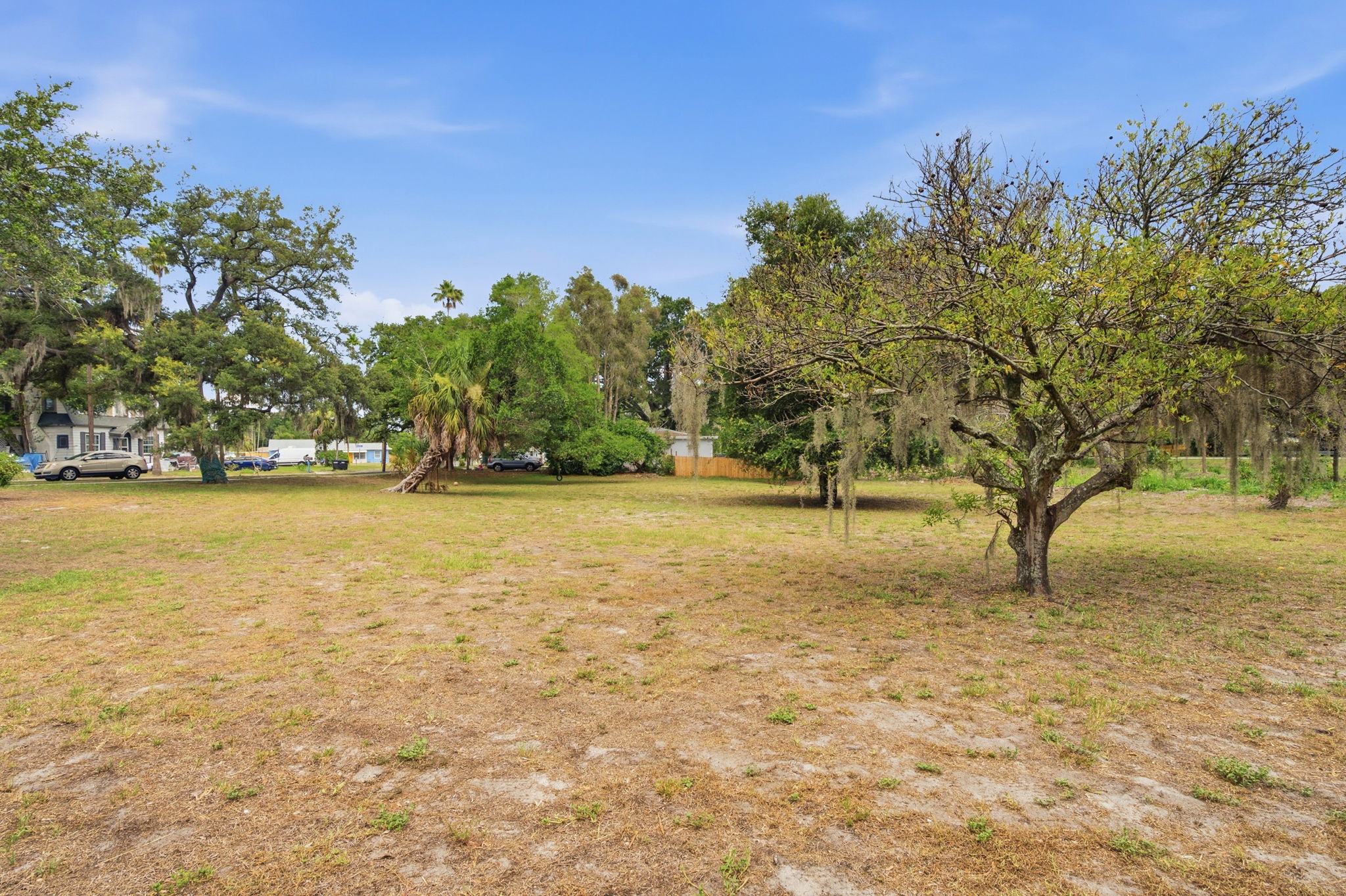 Front Yard (10)