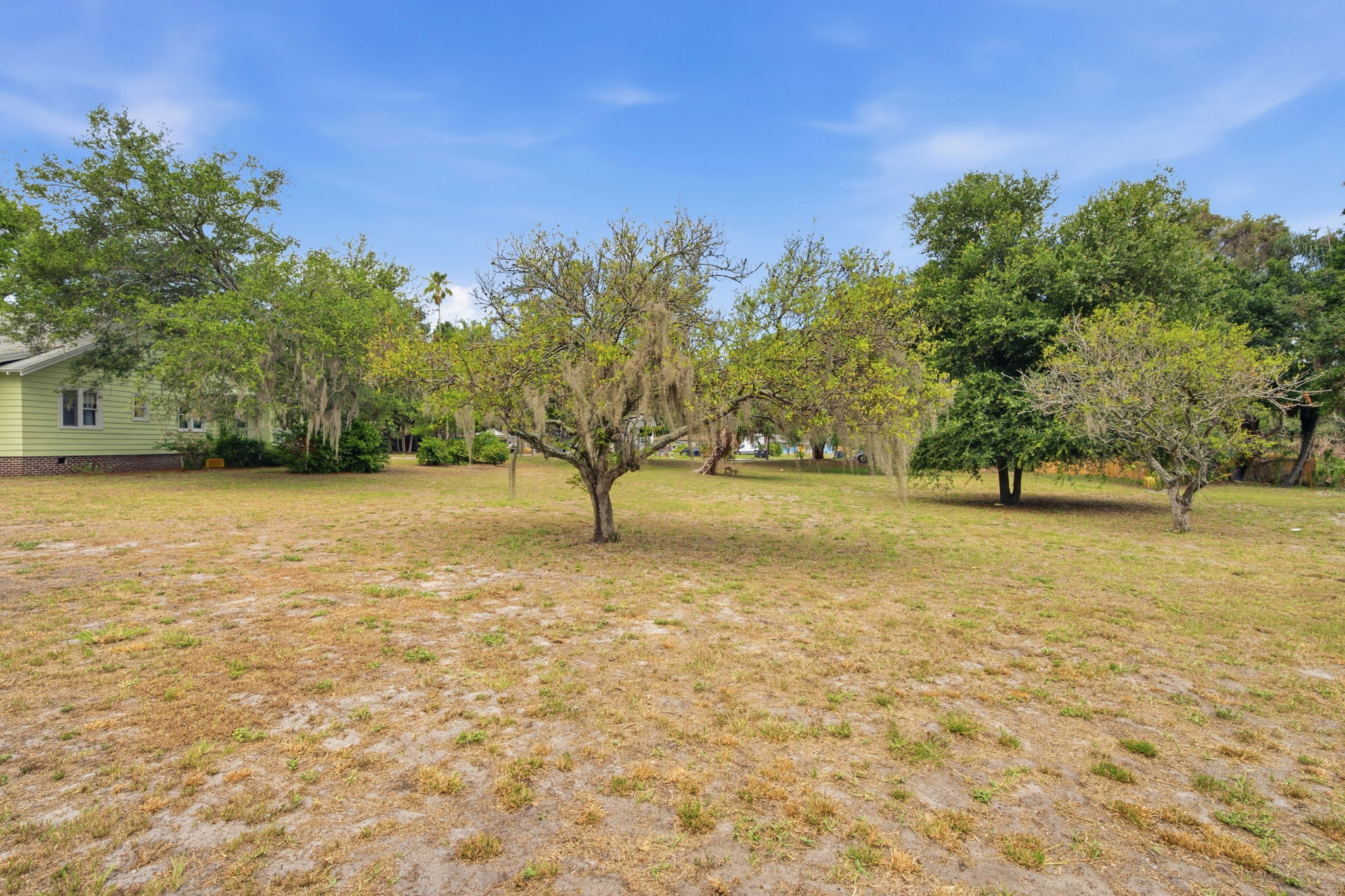 Front Yard (11)