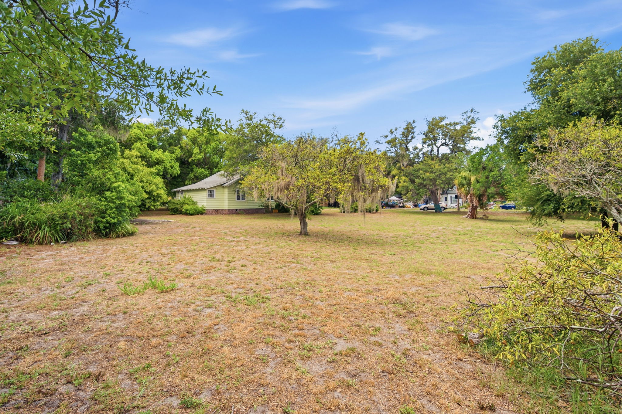 Front Yard (12)