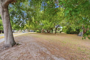 Front Yard (1)