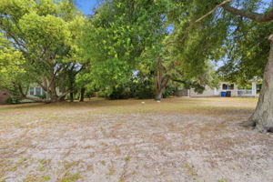 Front Yard (2)