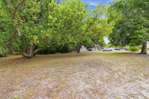 Front Yard (3)