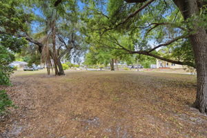 Front Yard (4)