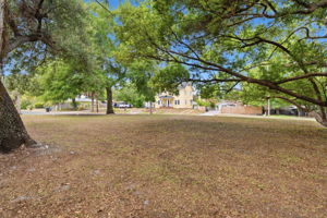 Front Yard (5)