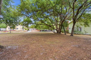 Front Yard (6)
