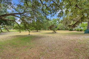 Front Yard (8)
