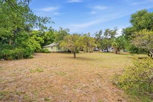 Front Yard (12)